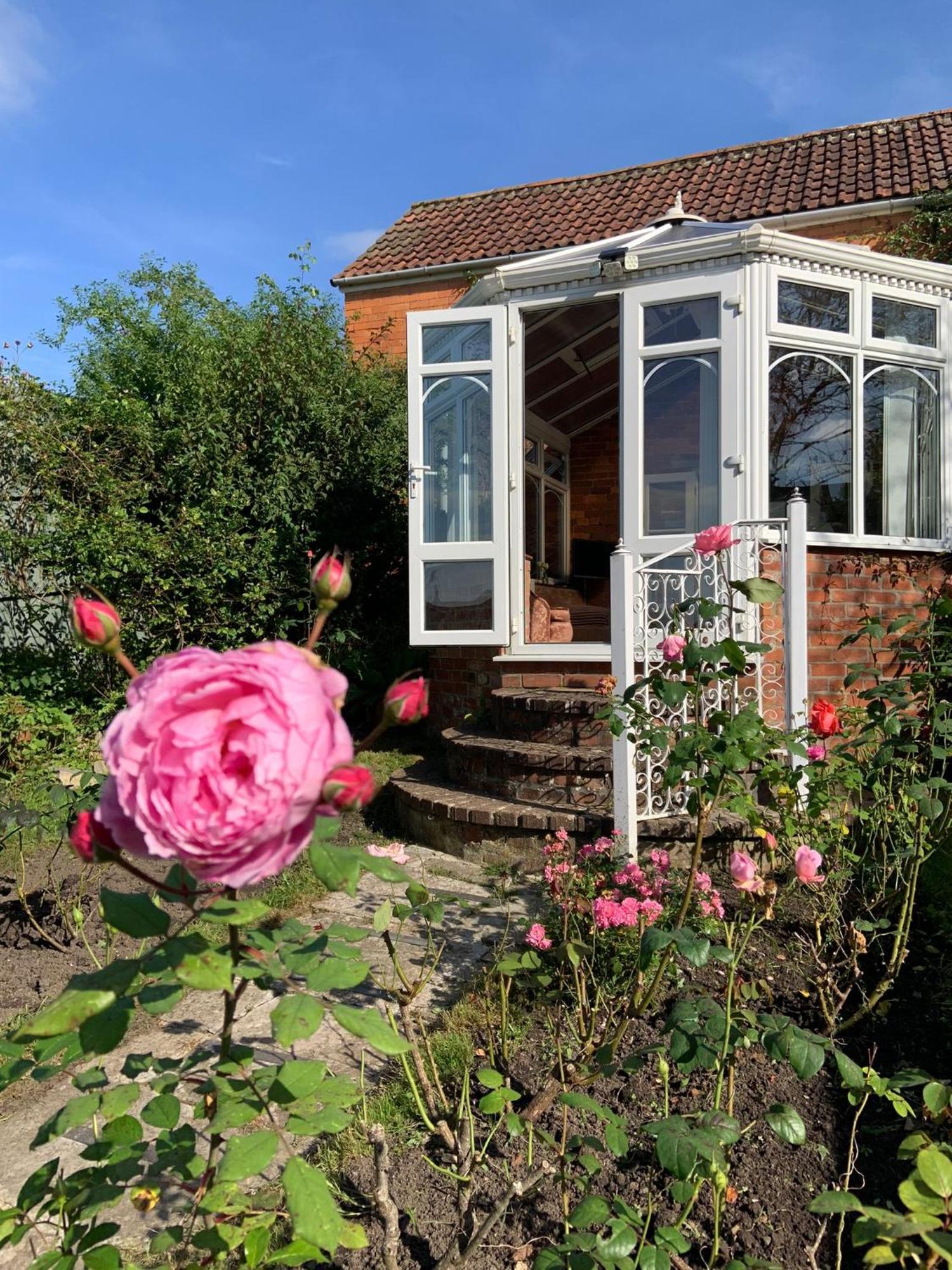 Rose Cottage Glastonbury Exteriör bild